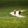 Wanderer auf einem Weg durch eine Wiese zwischen Seefeld und Mösern in Österreich. Wer seinen Urlaub in Tirol verbringt, muss keine Einreisebeschränkungen wegen Corona mehr beachten.