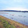 1,50 Meter hoch stand das Wasser vor einer Woche im Rückhaltebecken Baierner Flecken bei Hollenbach - "zu wenig", wie der Donaumoos-Zweckverband einräumte. Foto: Donaumoos-Zweckverband