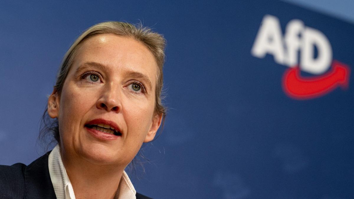 "Eine Dumme Idee": Scharfe Kritik Nach Weidel-Vorschlag Für "Dexit ...