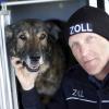 Zoll-Hundeführer Helmut Ahrens mit Drogenspürhündin Vicky bei ihrem letzten Einsatz.