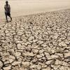 Weltbankpräsident Jim Yong Kim fordert "aggressive" Maßnahmen zur Bekämpfung des Klimawandels. "Die Zeit ist sehr, sehr knapp", sagte Kim am Sonntag bei der Vorstellung eines in Deutschland erstellten Klimaberichts für die Weltbank. 