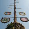 Der schönste Maibaum 2018 stand in Heinrichsheim. 	