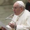Papst Franziskus kritisiert kinderlose Paare