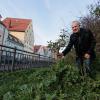 Am Schwall in der Altstadt hat ein Unbekannter ein Apfelbäumchen gepflanzt – die Alt-Augsburg-Gesellschaft mit ihrem Vorsitzenden Sebastian Berz wünscht sich mehr Bäume in der Stadt.