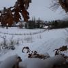 Der Schellenberg in Oettingen mit Schnee, zu wenig allerdings für ausgiebige Schlittenfahrten. 