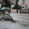 Sturm knickt Äste in der Franz-Beck-Straße in Aichach