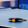 Die Tischtennis-Mannschaften aus der Region haben in den vergangenen Tagen wieder jede Menge Spiele absolviert. Manche Teams haben sich den Klassenerhalt schon gesichert, wie etwa die Frauenmannschaft des VSC Donauwörth.  
