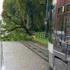 Unwetter in Augsburg Durch den Sturm stürzte ein Ast auf die Oberleitung der Straßenbahn an der Konrad-Adenauer-Allee. Dadurch musste der Straßenbahnverkehr eingestellt werden