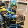 Raphael und Luis Schmid sind schon im Kinderbuchregal fündig geworden. Sie nehmen ein Buch von Monstertrucks und eine „Leserabe“-Geschichte mit.
