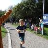 Bei bestem Wetter starteten am Sonntag viele kleine und große Läufer beim Meringer Marktlauf des TVM.