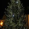 Der Christbaum wird traditionell am 1. Advent illuminiert – für die Illertisser Gäste war dieses Ereignis schon im Rahmen einer „Vorpremiere“ zu bestaunen.