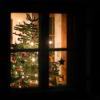 Jährlich werden in Deutschland etwa 25 Millionen Weihnachtsbäume verkauft. Der Trend geht dabei vom Weihnachtsbaum, der an Heiligabend ins Haus geholt wird, zum Adventsbaum, der über Wochen dasteht.