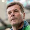 Dieter Hecking wird neuer Trainer bei Borussia Mönchengladbach.