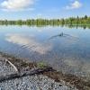 Am Weitmannsee in Kissing ist das Baden wieder erlaubt.