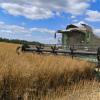 Laut EU-Kommission liefern Ukraine und Russland zusammen rund 34 Prozent des Weizens für die Weltmärkte. (Symbolbild)