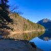 An Neujahr wanderten die Zärles vom Buchenberg hinab und umrundeten den Alpsee bei wunderschönem Wetter. Für Luise Zärle war es der schönste Tag des Jahres. 