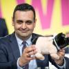Der neugewählte FDP-Generalsekretär Bijan Djir-Sarai präsentiert ein geschenktes Glücksschwein.