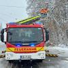 Immer wieder musste die Feuerwehr Äste und Bäume beseitigen, die unter der Last des Schnee auf die Straße zu stürzen drohten.
