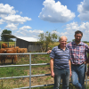 Die drei Moor-Klimawirte Winfried Bayer und Georg Wiedemann aus Gundelfingen sowie Tina Niess aus Sontheim an der Brenz (von links) vor einer ihrer Weiden mit schottischen Hochlandrindern im Gundelfinger Moos.