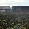Eine konsequente Vorgehensweise gegen den Betreiber der Biogasanlage in Hamlar fordert der Stadtrat Donauwörth – sollte sich das Geruchsproblem nicht zeitnah lösen. Dem Landratsamt werfen sie zu langes Zögern vor. 