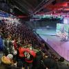 Im Curt-Frenzel-Stadion verfolgten rund 1000 Zuschauer das Spiel der Panther gegen Düsseldorf auf der Großbildleinwand.