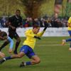 Der FC Pipinsried kickt die Münchner Löwen im Viertelfinale aus dem Toto Pokal.