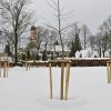 Die gepflanzten Bäume auf dem neuen Friedhofsareal am Parkplatz standen kürzlich noch im Schnee.