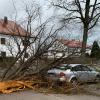 In der Friedberger Frühlingsstraße wütete der Sturm. Ein Baum stürzte auf ein Auto.  	