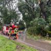 Starker Regen setzte am Donnerstagabend in Wertingen und Roggden Straßen und Keller unter Wasser. Die Feuerwehr war mehrfach im Einsatz.