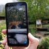 Der Kölner Zoo arbeitet mit Snapchat zusammen. Auf einem Smartphone wird ein virtueller Tiger in einem Gehege gezeigt wird. 