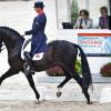 Der Brite Carl Hester und Uthopia waren im EM-Teamwettbewerb eine Klasse für sich. dpa