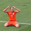 Arjen Robben fordert Elfmeter.