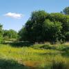 Das Kulturbüro hat für die jungen Künstler noch einen kleinen Tipp in petto: In der Deuringer Heide gibt es einen Naturerlebnispfad, der euch interessante Einblicke in die Heidelandschaft gibt.