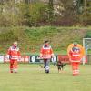 Das Öffnen und Schließen des Regenschirms bringt den Rettungshund in spe nicht aus der Ruhe. 