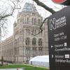 In der Nähe des Natural History Museums in London ist ein Auto auf einen Bürgersteig gefahren und hat mehrere Menschen verletzt.