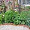 Ein Garten braucht nicht unbedingt eine Rasenfläche: Hier finden Sie Gestaltungs-Tipps für Ihren Garten.