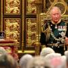 Der damalige Prinz Charles bei einer Rede im House of Lords in London.