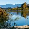 Wer an den Niedersonthofener See denkt, stellt sich wohl eine idyllische Landschaft, ein ruhiges Gewässer und einen einmaligen Blick auf die Allgäuer Alpen vor. Nicht aber kriminelle Machenschaften. Krimiautorin Susanne Erhard sieht das anders.  