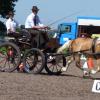 Bloß nicht die Kegel streifen: Boris Zeugner bei den oberbayerischen Meisterschaften in Neuburg. Mit auf der Kutsche sitzt seine Freundin Stella König, gezogen wird das Gefährt von dem Pony Sando S. Aufgrund der hohen Temperaturen an dem Tag durfte Zeugner auf seine Trachtenjacke verzichten.