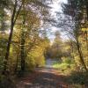 Die schönen Seiten des Herbstes im Unterallgäu.