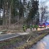 Das Sturmtief Ylenia sorgte für einen Feuerwehreinsatz in Babenhausen. Ein Baum war auf eine Straße gestürzt.