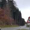 Drei Wildunfälle haben sich im Landkreis Dillingen ereignet.