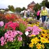 Blumen in Hülle und Fülle gibt es auf der Gartenmesse Diga am Samstag und Sonntag am Kloster Wiblingen. Die Veranstalter rechnen mit 8000 bis 10000 Besuchern. 