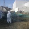 Helfer sprühen Kunstharz auf dem Gelände des havarierten Atomkraftwerkes im japanischen Fukushima aus, um radioaktiven Staub zu binden. dpa