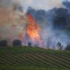 Hitze und Trockenheit vergrößern die Feuergefahr: Im Juli 2022 wird Deutschland von Waldbränden heimgesucht.