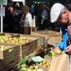 Apfel- und Kartoffelmarkt Bächingen 2023
Apfel- und Kartoffelmarkt Bächingen 2023
Umweltstation Mooseum
Wilhelm Rochau
