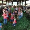 Für Kindergartenkinder organisiert der Bauernverband vom 19. bis 30. Juni einen „Kindertag auf bayerischen Höfen“, bei dem den Kleinen und ihren Erzieherinnen das Leben auf dem Land näher gebracht wird. (