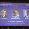 Die Gewinner des Chemie-Nobelpreises 2019: John B. Goodenough (l-r), M. Stanley Whittingham und Akira Yoshino.