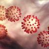 Am 4. März 2020 werden im Landkreis Augsburg die ersten Coronavirus-Infektionen nachgewiesen. Ende des Monats sind es bereits mehr als 200 Fälle.
