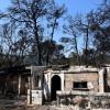 Verbrannte Häuser nach einem Waldbrand im Dorf Lampiri, östlich der Stadt Patras. 